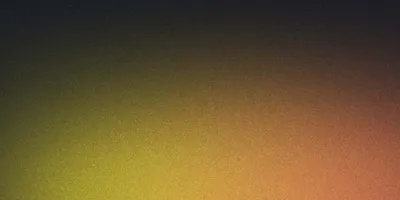 State of Web Developers 2025