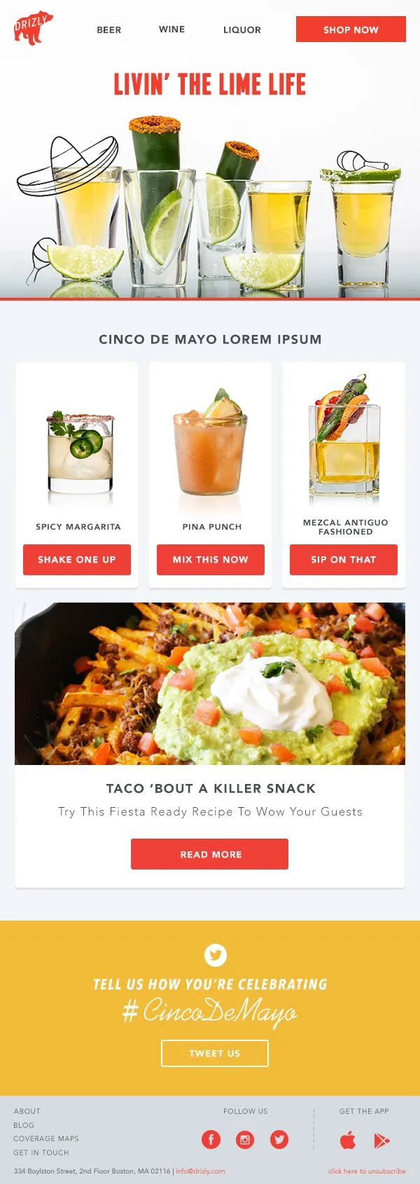 Cinco de Mayo email campaign